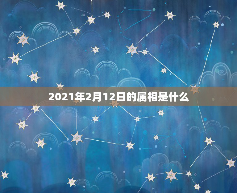 2021年2月12日的属相是什么，2021年十二生肖每月详解