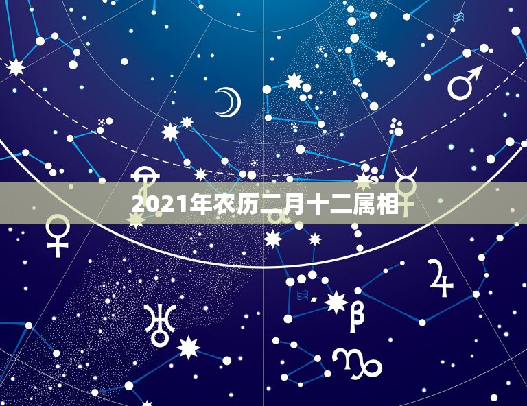 2021年农历二月十二属相，2021年十二生肖每月详解