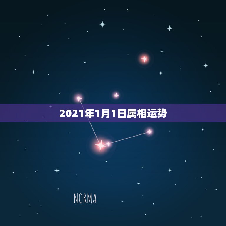 2021年1月1日属相运势，2021年12生肖每月运势详解