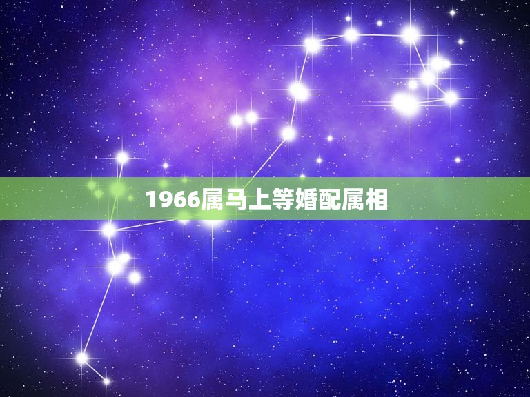 1966属马上等婚配属相，属马的男人和什么属相最配