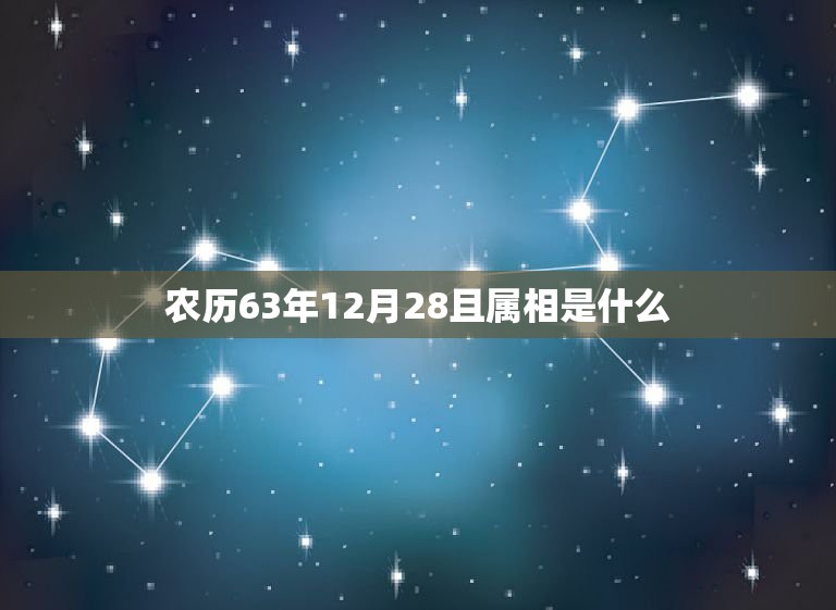 农历63年12月28且属相是什么，农历1966年12月28日出生的人是