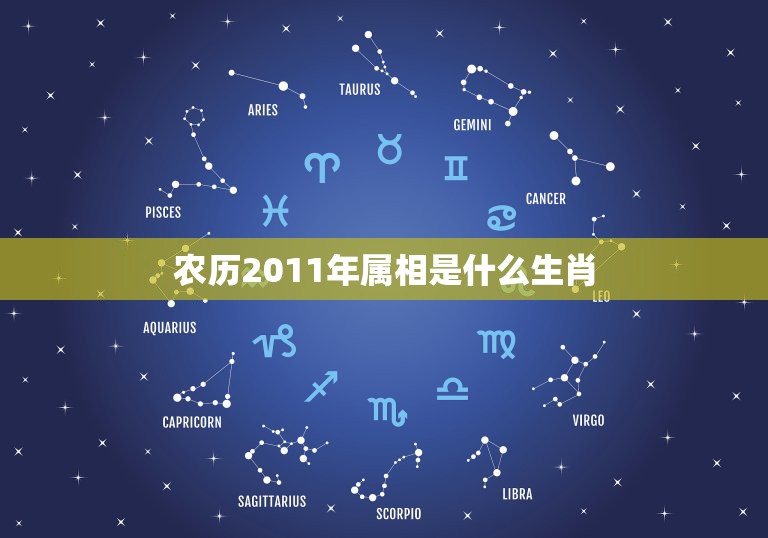 农历2011年属相是什么生肖，2011年是什么属相