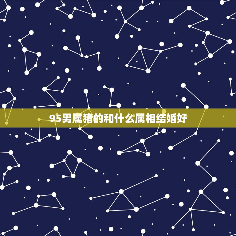 95男属猪的和什么属相结婚好，95年正月的属猪的和什么属相最配