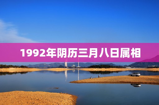 1992年阴历三月八日属相，生辰八字算命农历1992年3月24日下午1