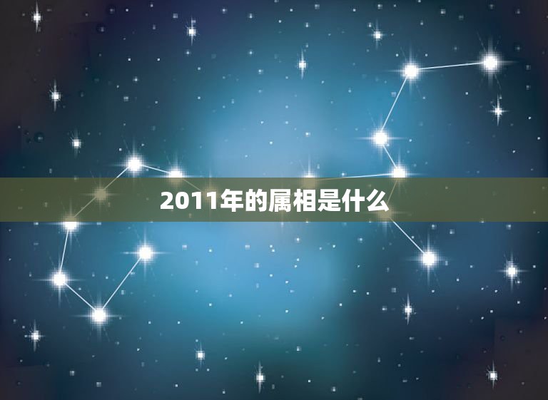 2011年的属相是什么，2011年是什么年？生肖属什么？