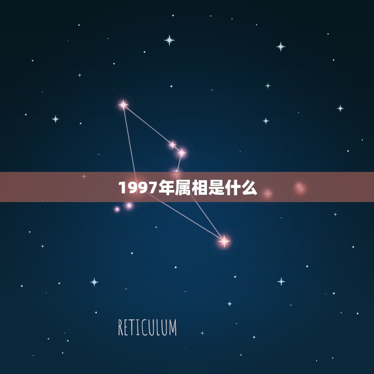 1997年属相是什么，属相牛1997年出生是什么命？