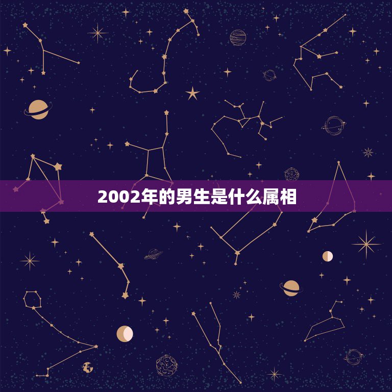 2002年的男生是什么属相，2002年阳历1月15日5时20分出生的男