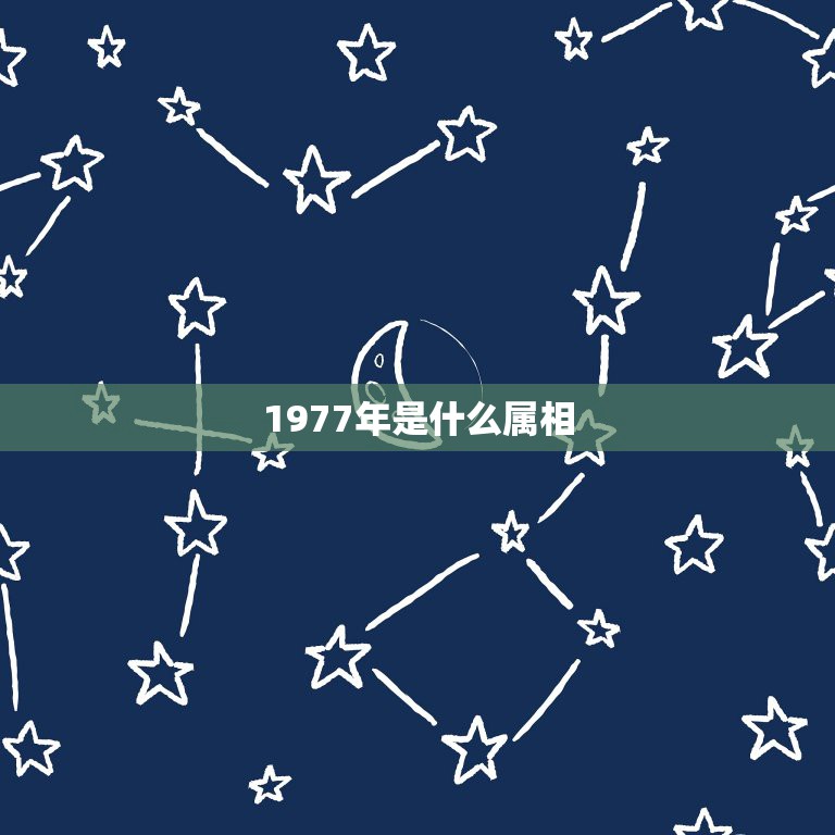 1977年是什么属相，1977年属什么生肖？