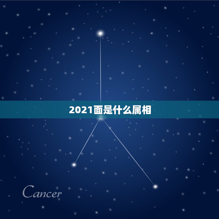 2021面是什么属相，2021年属什么生肖？