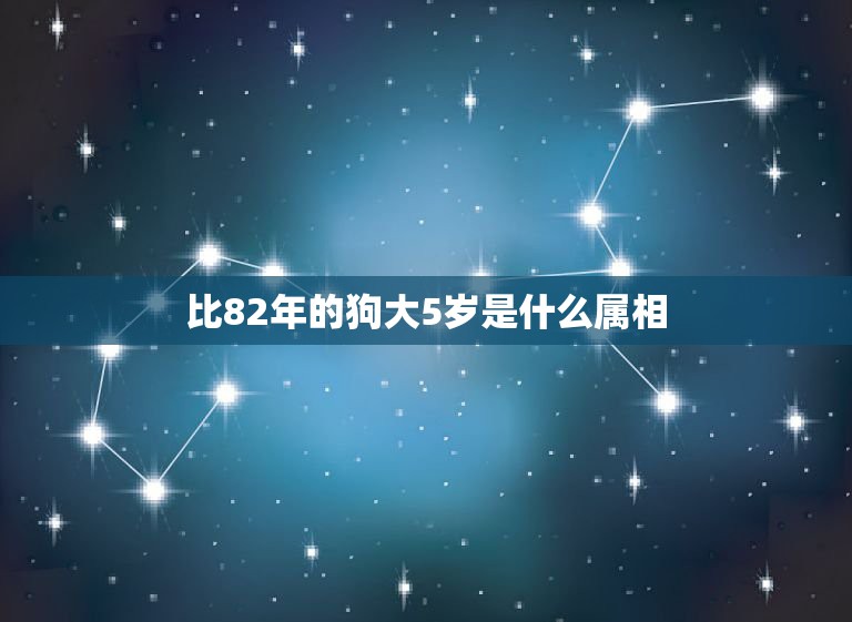 比82年的狗大5岁是什么属相，1982年属什么生肖多大