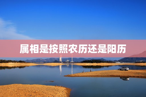 属相是按照农历还是阳历，生肖属相、是以阴历还是阳历、