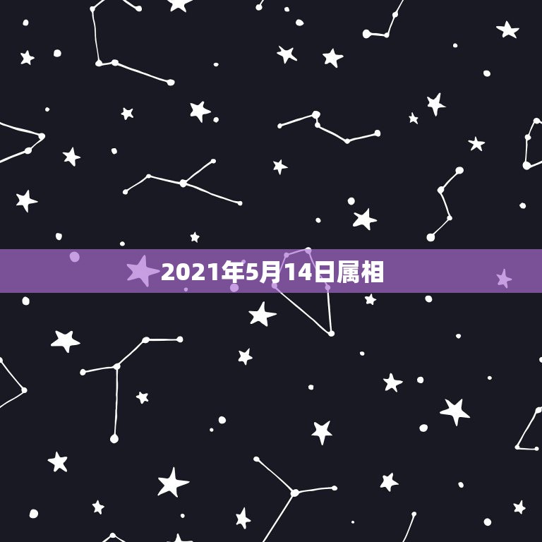 2021年5月14日属相，2021年十二生肖每月详解