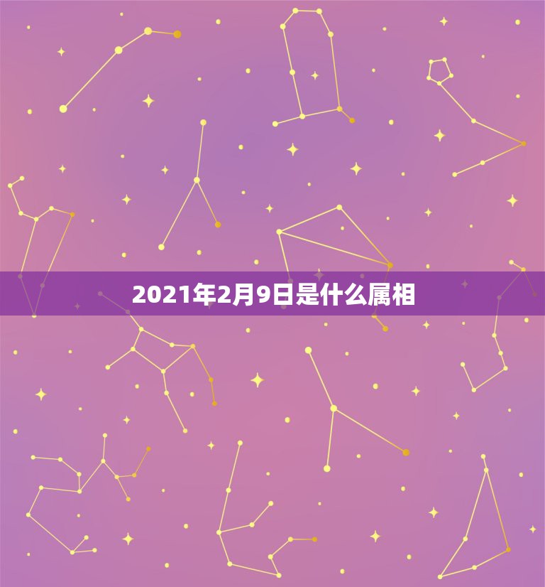 2021年2月9日是什么属相，2021年2月9日属什么