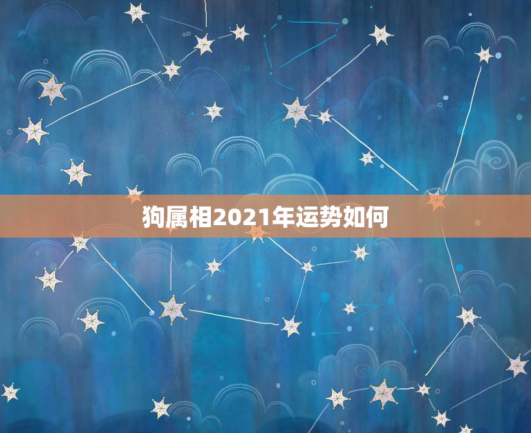 狗属相2021年运势如何，我属龙我老婆属狗在2021年生意会怎样？