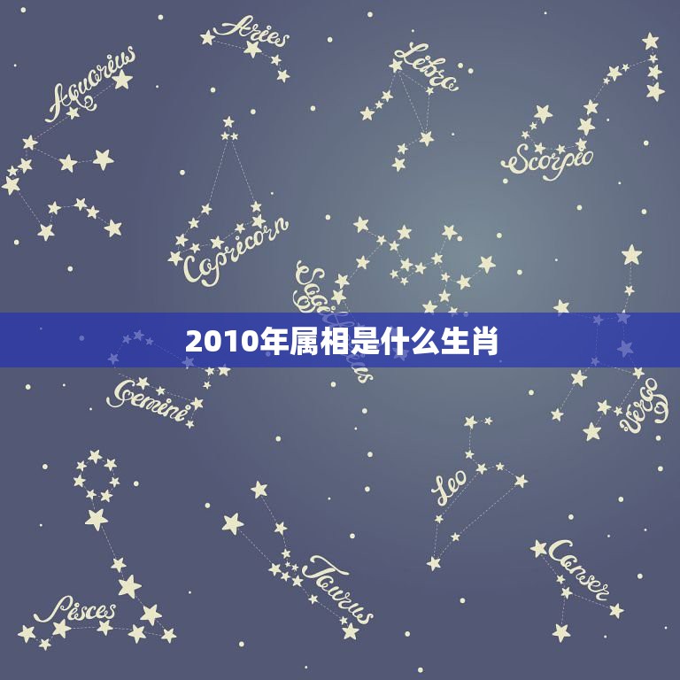 2010年属相是什么生肖，2010年是属什么生肖