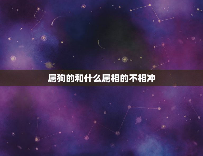 属狗的和什么属相的不相冲，属狗的与属什么的属相不合