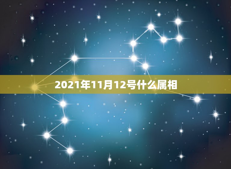 2021年11月12号什么属相，今年属相2021属相