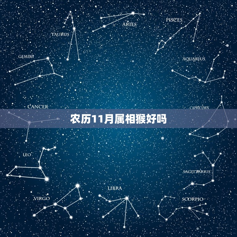 农历11月属相猴好吗，属猴的农历十一月十一今年运气好不好？