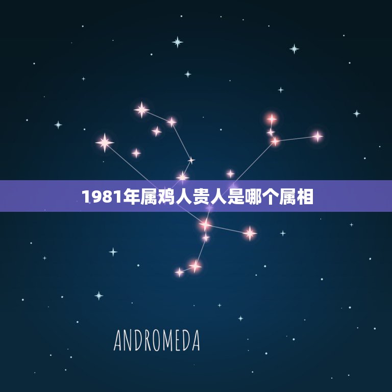 1981年属鸡人贵人是哪个属相，1981年属鸡人五行是什么