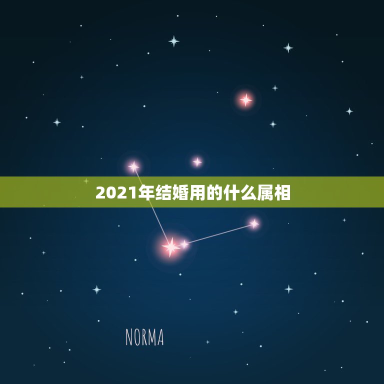 2021年结婚用的什么属相，96年鼠男和97年牛女哪年结婚合适