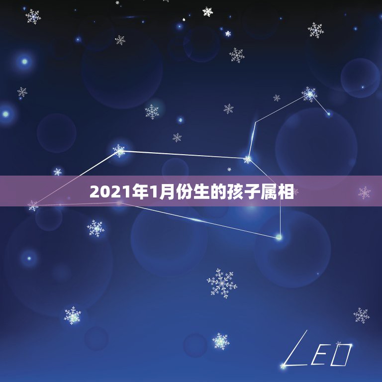 2021年1月份生的孩子属相，2021年一月出生的宝宝是属什么