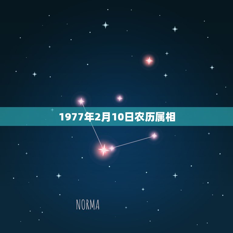 1977年2月10日农历属相，77年农历二月初十人2017运程