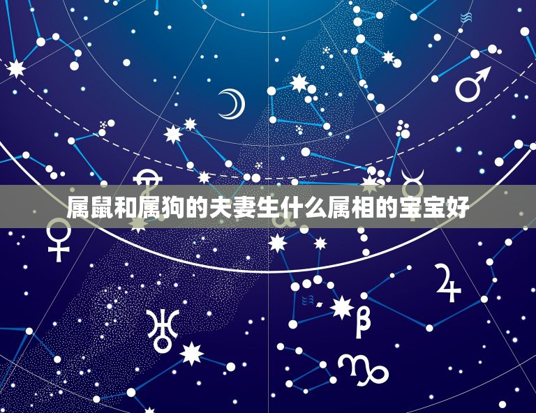 属鼠和属狗的夫妻生什么属相的宝宝好，想2021年农历8月生宝宝，应该在