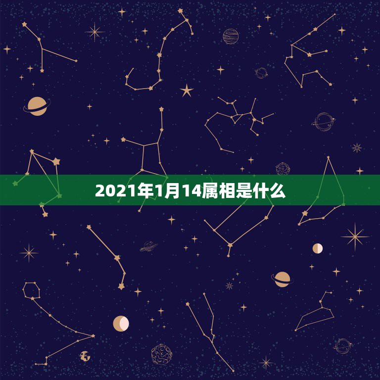 2021年1月14属相是什么，2021年1月份出生的宝宝是什么属相