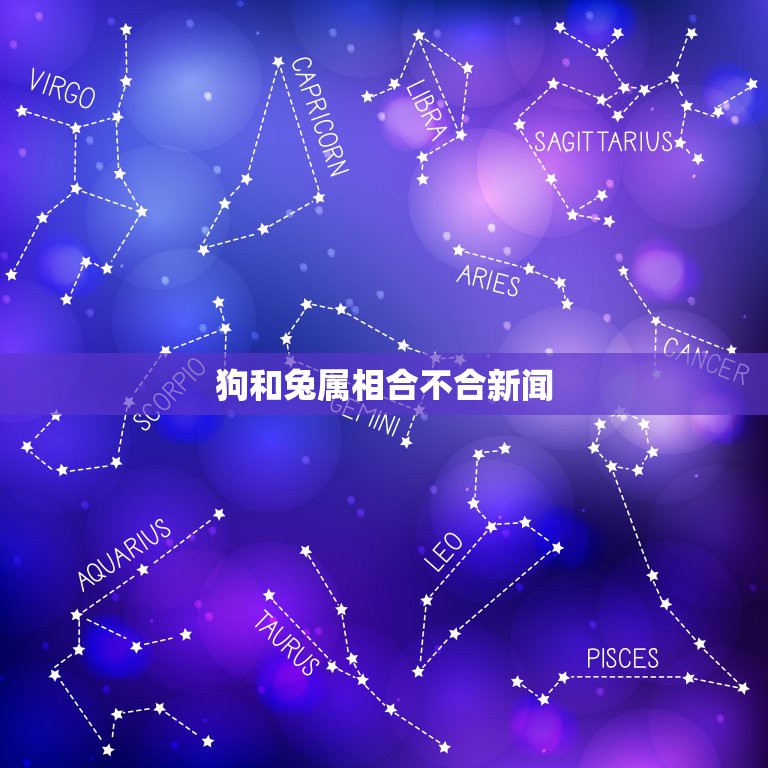 狗和兔属相合不合新闻，属狗的和属兔相克吗