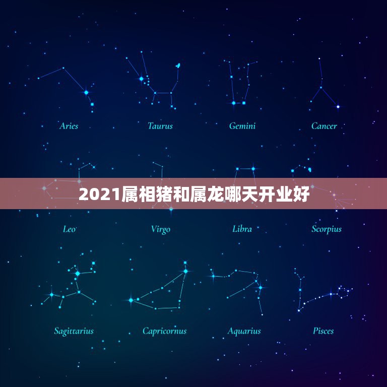 2021属相猪和属龙哪天开业好，2021属相全年运势