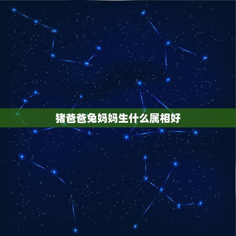 猪爸爸兔妈妈生什么属相好，猪爸爸、兔妈妈生个什么属相的包包最好呢~？