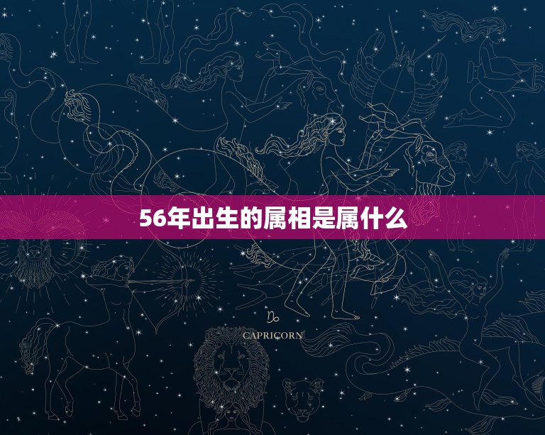 56年出生的属相是属什么，1972年属鼠的人是什么命