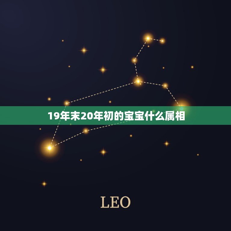 19年末20年初的宝宝什么属相，19年属什么生肖