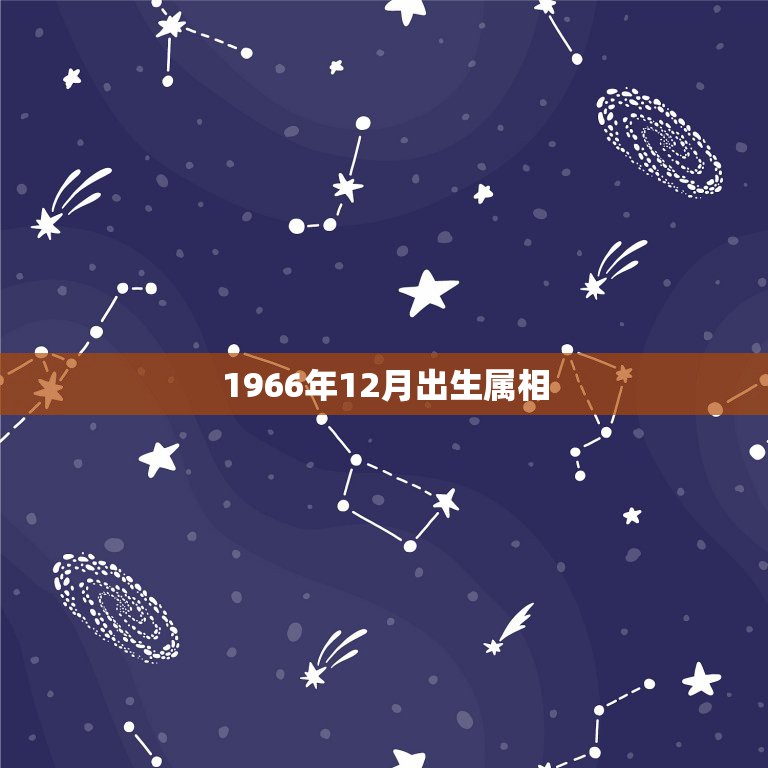 1966年12月出生属相，1966年12月出生的，属马的是什么星座