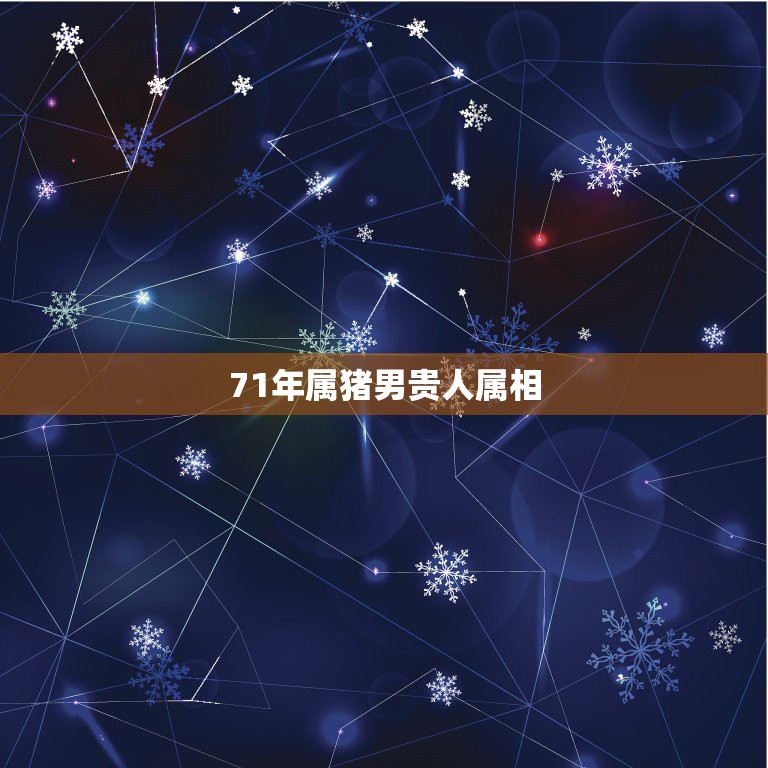 71年属猪男贵人属相，属猪的71年生人今天财运在哪个方向