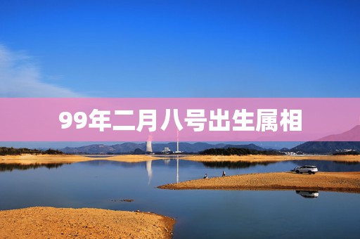 99年二月八号出生属相，1999年国历2月9日属相是什么啊。