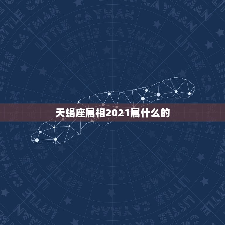 天蝎座属相2021属什么的，十二生肖年份表2021