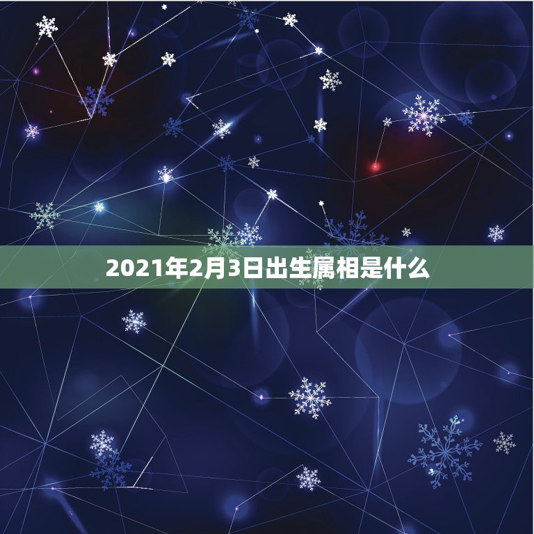 2021年2月3日出生属相是什么，2021年2月3日后出生宝宝属什么