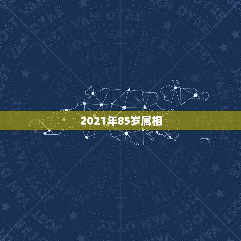 2021年85岁属相，2021生肖鼠多大年龄