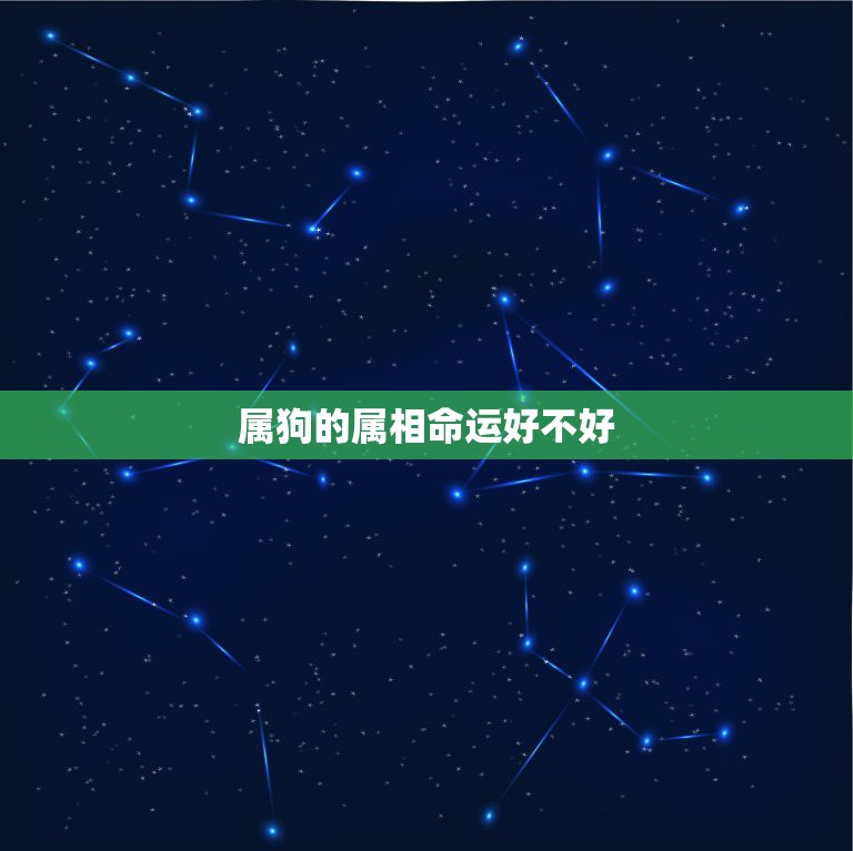 属狗的属相命运好不好，属狗的今年命运是不是很不好啊，我感觉我今年运气真