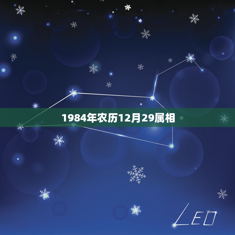 1984年农历12月29属相，1984年 阴历 腊月29日 生日 属牛