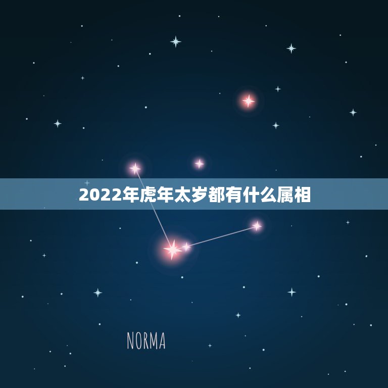 2022年虎年太岁都有什么属相，2022年犯太岁的五个生肖