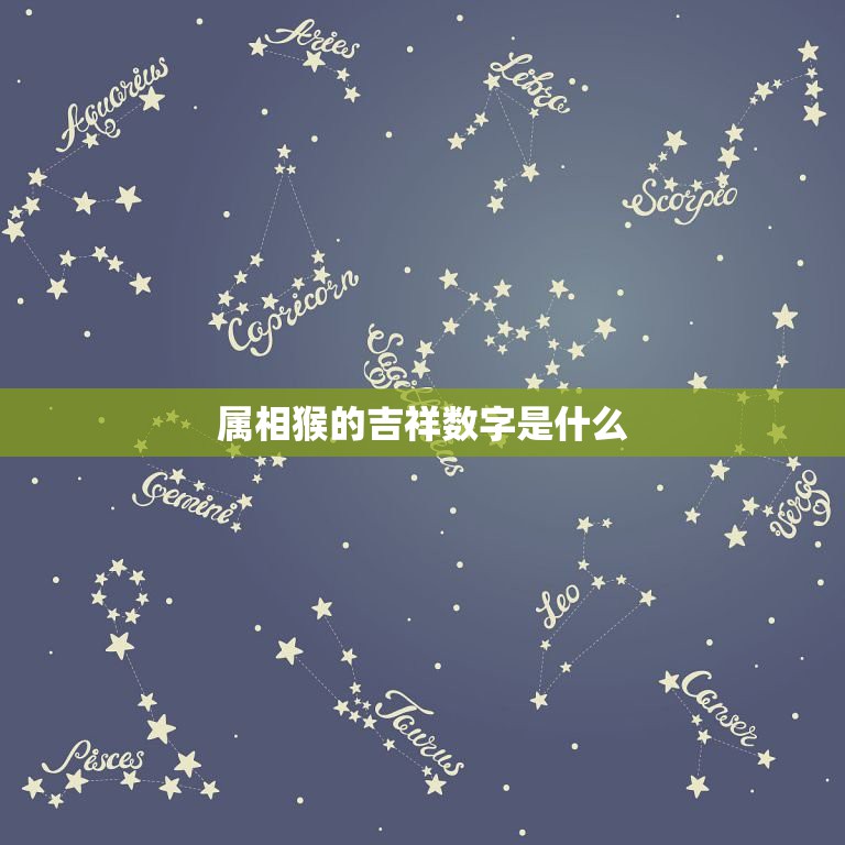 属相猴的吉祥数字是什么，一九九六年属鼠的幸运数字是多少