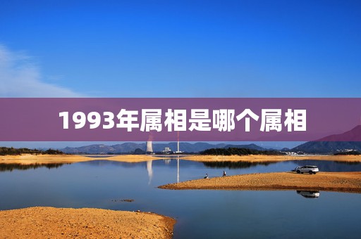 1993年属相是哪个属相，请问一下1993年是属什么呢？