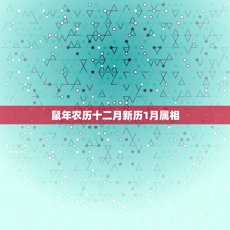 鼠年农历十二月新历1月属相，本命年算农历还是阳历