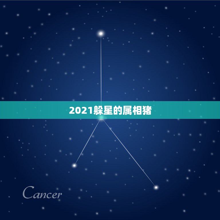 2021躲星的属相猪，2021年躲星生肖对照表