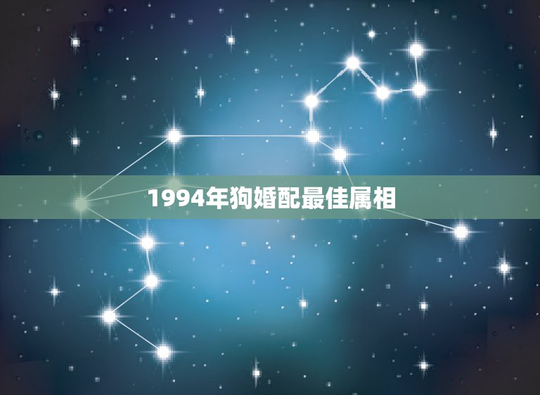 1994年狗婚配最佳属相，1994年属狗的婚配禁忌