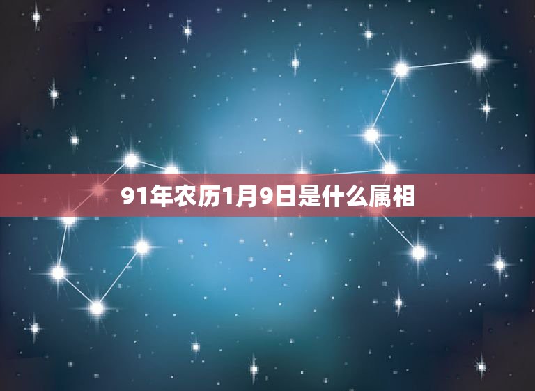 91年农历1月9日是什么属相，请问今年的农历12月24日至25日日子好