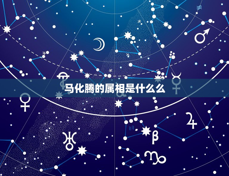 马化腾的属相是什么么，马化腾是什么星座￼？