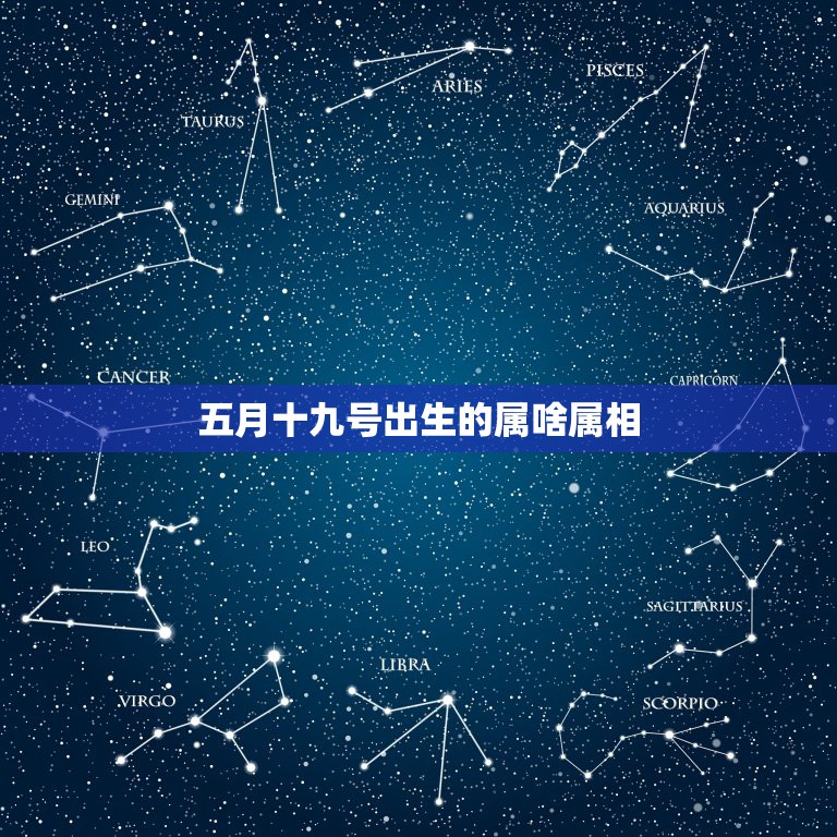 五月十九号出生的属啥属相，2023年5月19日属什么生肖？